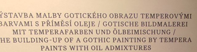 La pinacoteca del Castillo, la Galería Nacional y más Mercados de Navidad - Viena - Bratislava - Praga, Navidad 2024 (49)