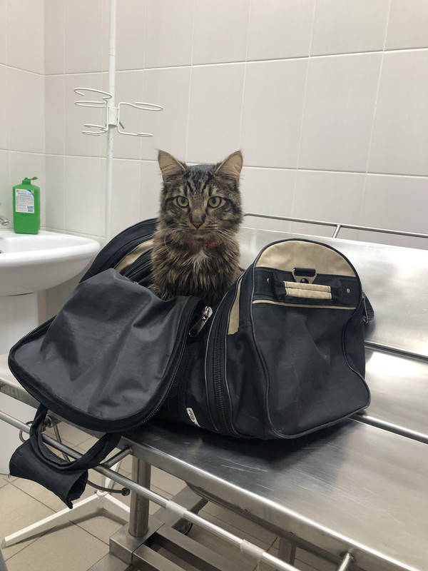 68BD78A5-A017-484A-921D-F08D2BB2B51D