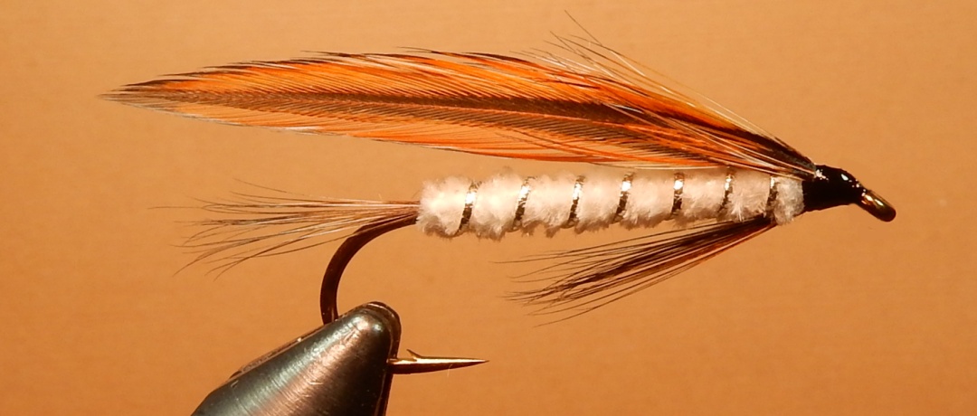 Coastal-Shiner-1080.jpg