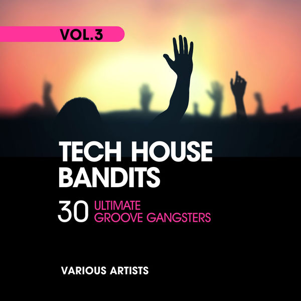 VA - Tech House Bandits (30 Ultimate Groove Gangsters) Vol. 3 (2021)