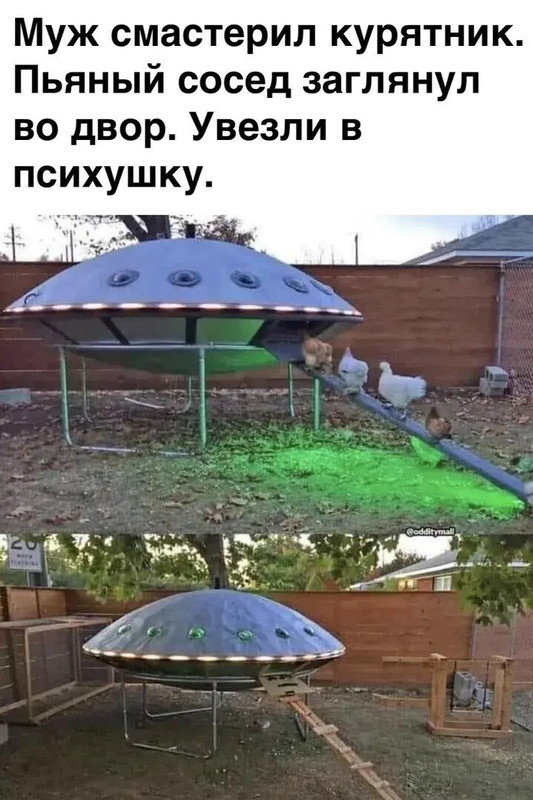 [Изображение: photo-2025-10-04-07-52-14.jpg]