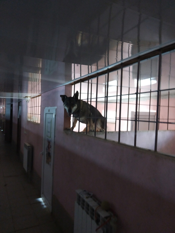 хутор.кики1