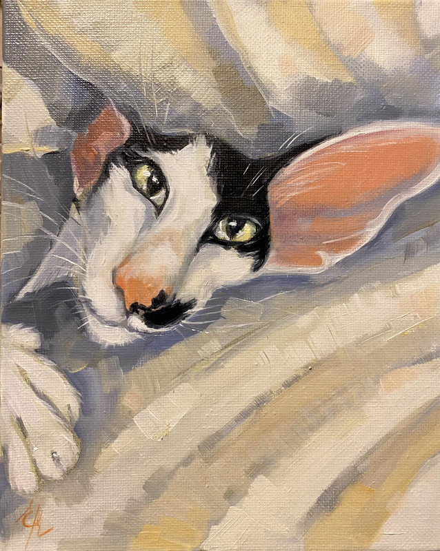 1-327312222-1208810579725610-6891082439581019908-n