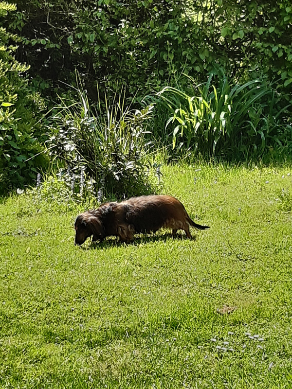 [Image: 20230502-115645.jpg]