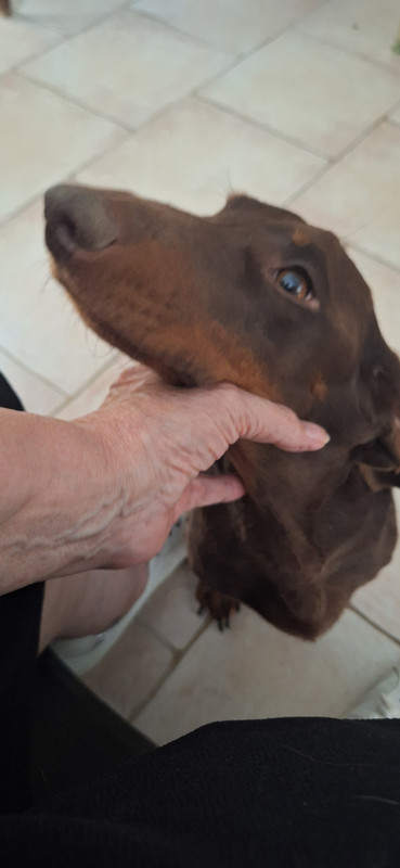 [Image: 20251002-164836.jpg]