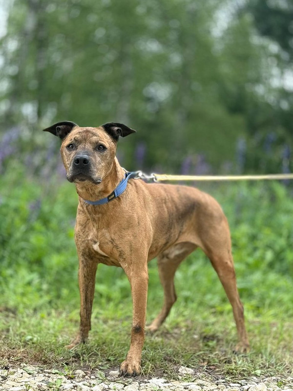 WhatsApp Image 2025-06-20 at 00.21.22 (1)