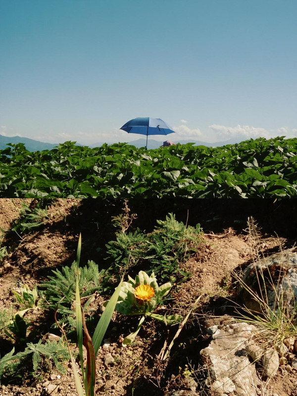 photo 3 2026 01 16 21 56 05