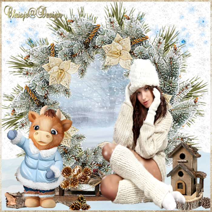 Image and video hosting by TiyPic