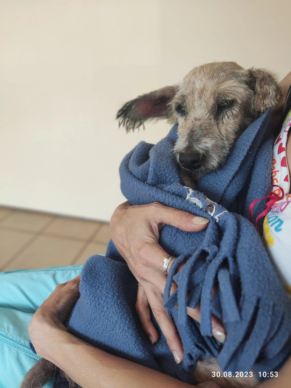 IMG-d862d6b999aac89df02c0d5b34f148b7-V