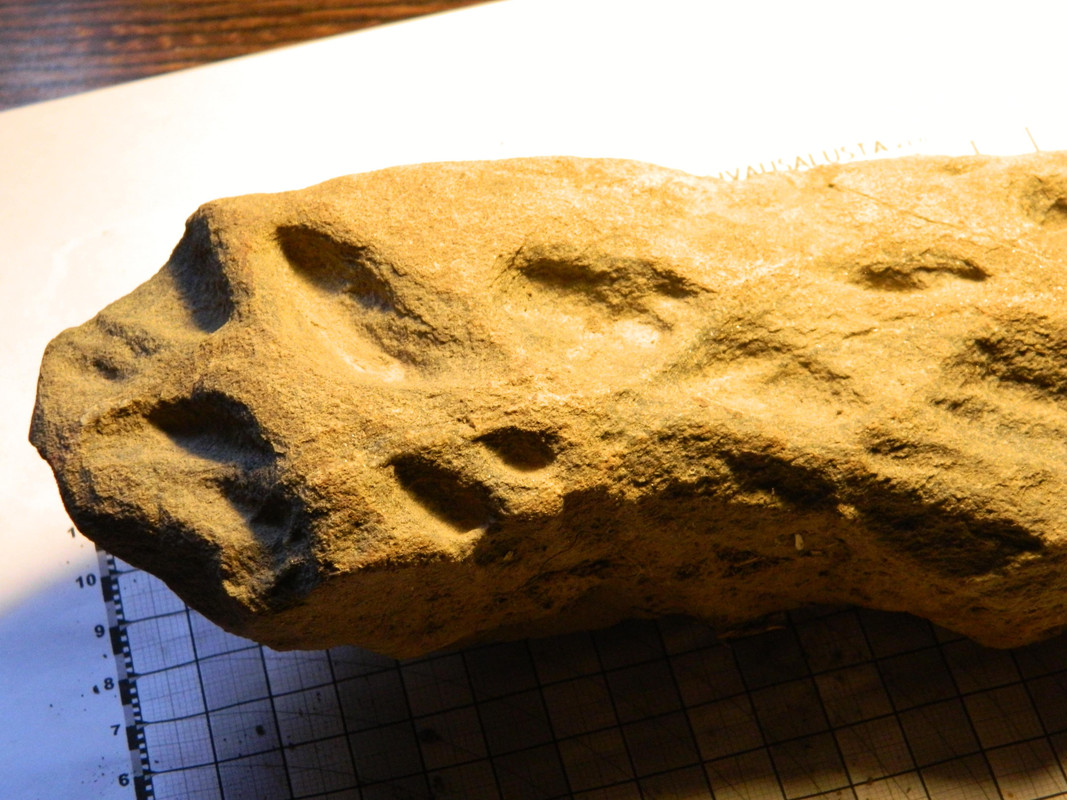 pikkukuppi 010