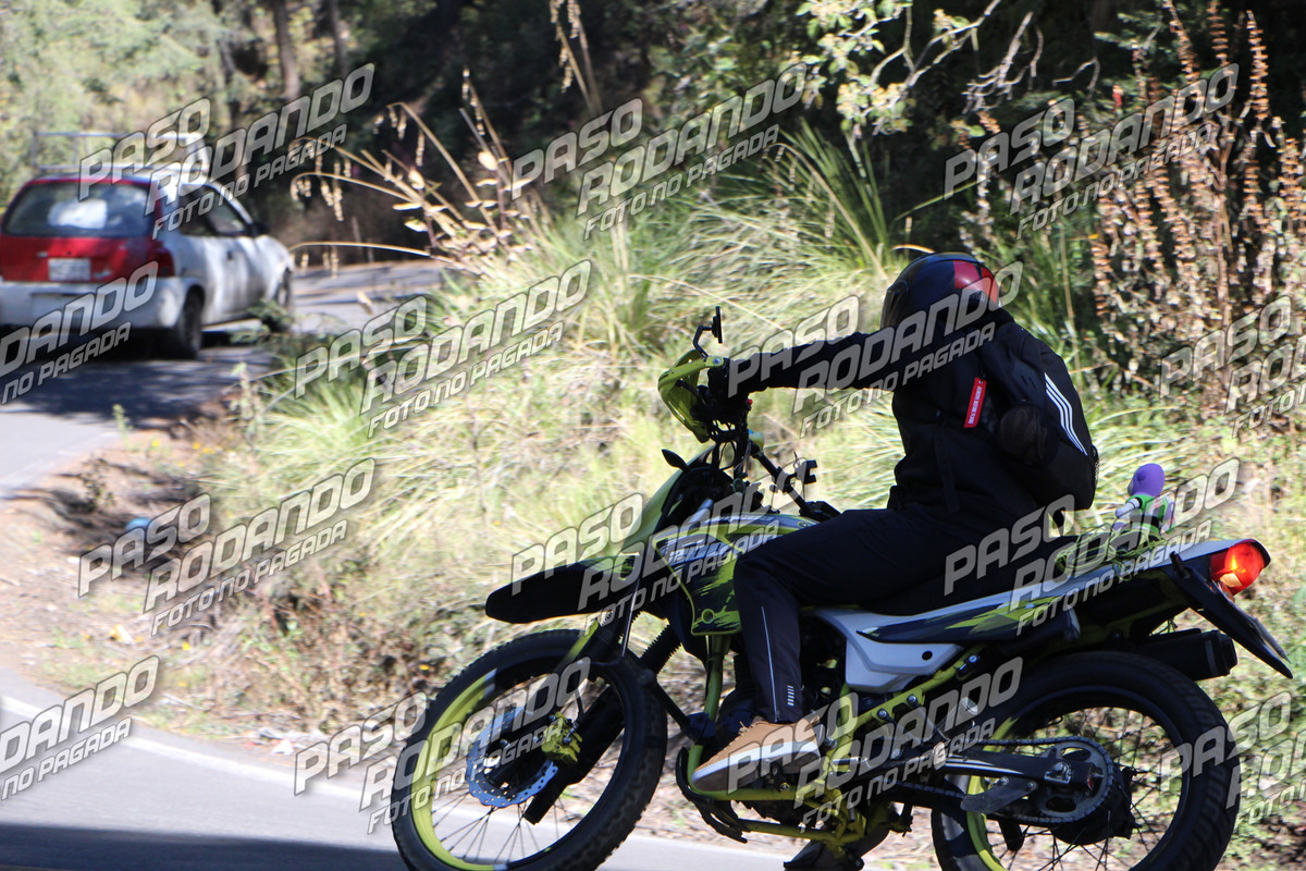 IMG 4460 wm 1997044 9 watermarked — Postimages