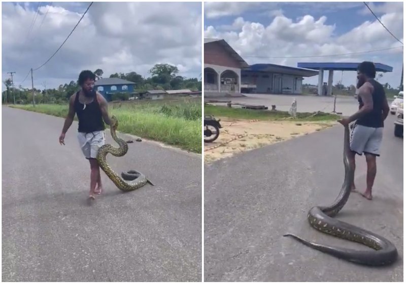 Тайрон Спонг се бори с огромна змия в Суринам