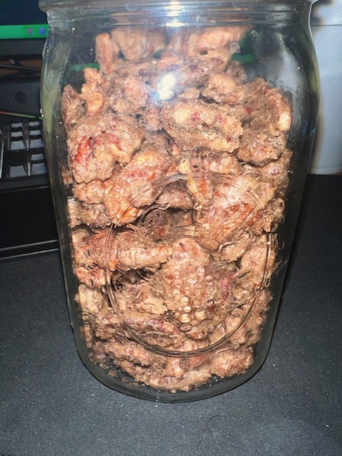 pecans1.jpg