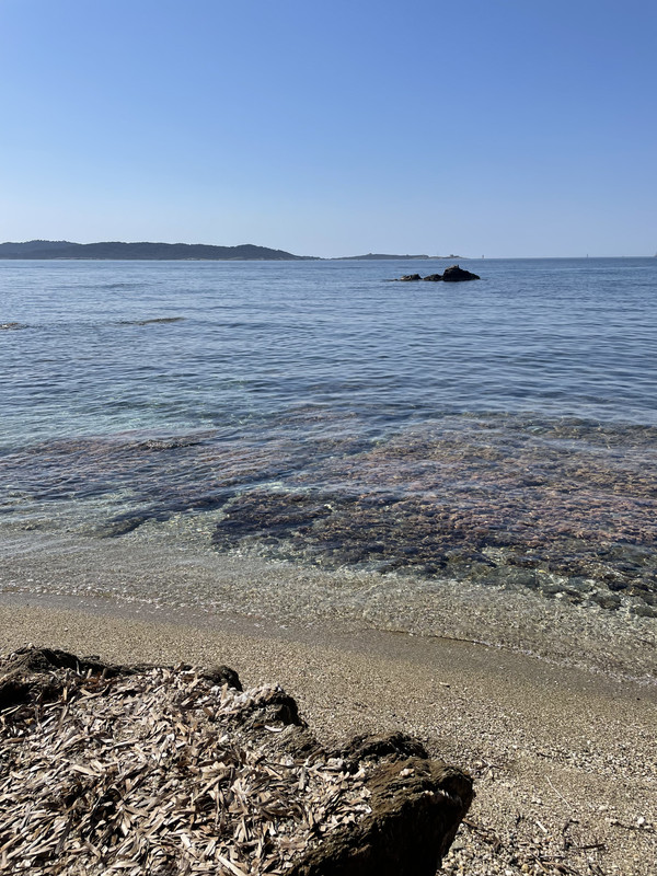 7D4EE855-4632-4467-8613-397403BFF96B