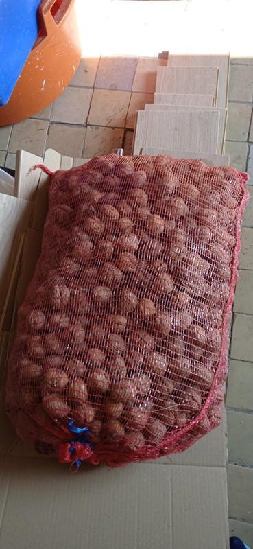 IMG_20221102_115628_1[1]