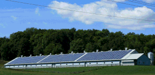 Des panneaux solaires sur une toiture 