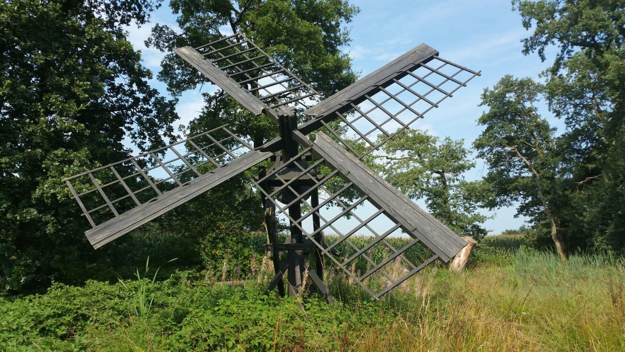 Bollenveen ( Tjasker ) 06 Zeijen