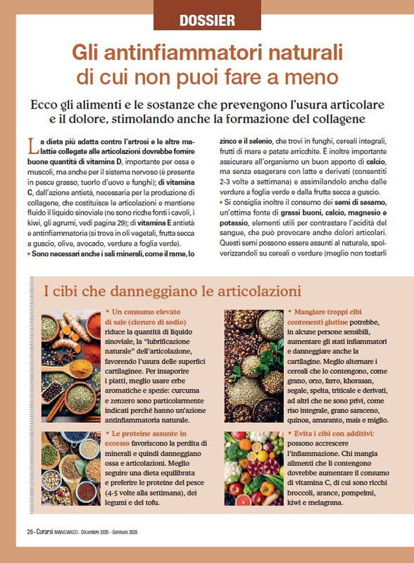 Cur Mang Dic 2025 Gen 2026 (3)