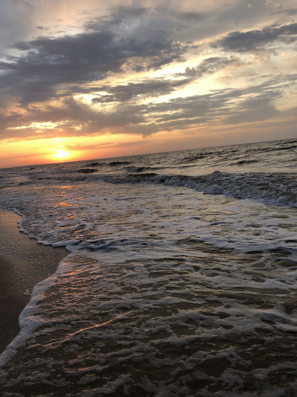 B9A9FA43-A39A-4E31-84B3-EB05F6C28ADA