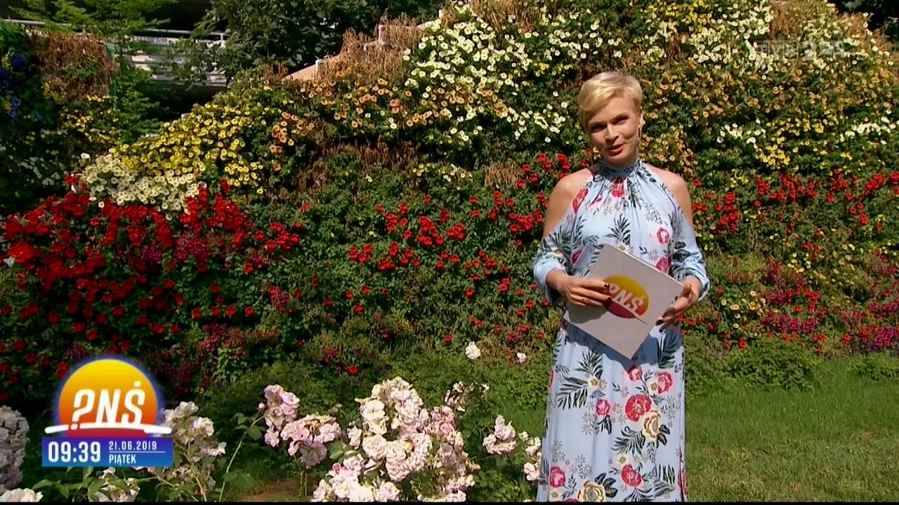 V0323_20190627_073124.mp4_snapshot_05.42_[2019.07.02_12.15.37]