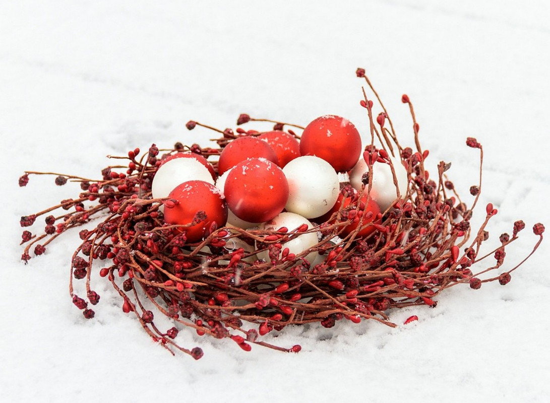 red-eggs-nested.jpg