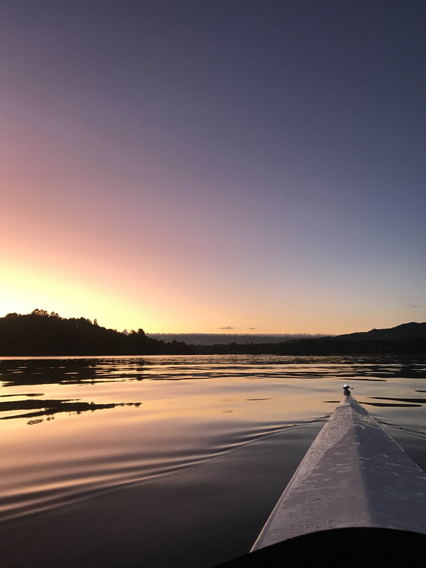 5069F976-4BF6-402D-B0EE-97720D728ED9