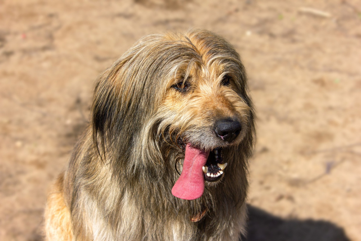 M4NF6iNUChwSnMoViqnduRSZiBYWeqE1Q67oHnUysjlvfUZAsjjLcb4u2tTgibzc3SSg1HnEy5ojSzoJzIpiJYF6