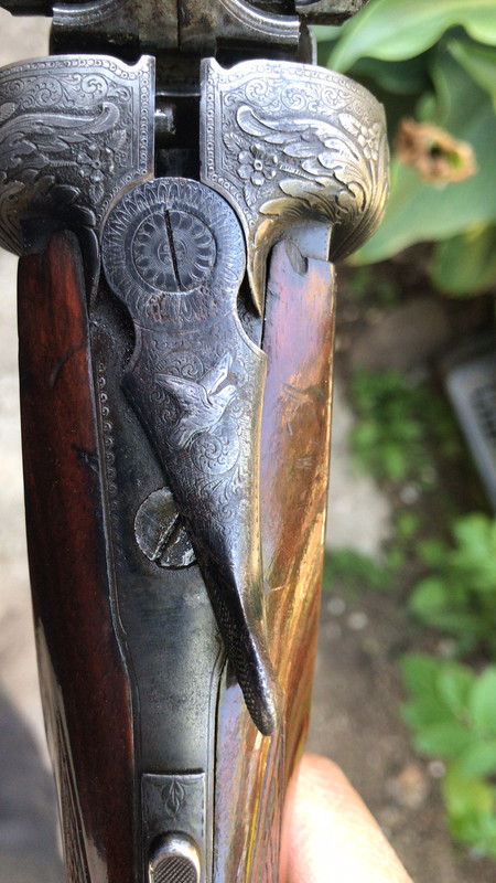 F4DE23C3-2D4E-45A4-9338-FF6EC885004C