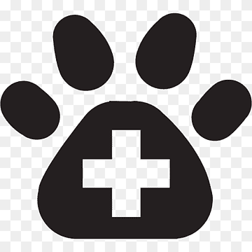 drasglendayclarenapolo - Hospital General Veterinario