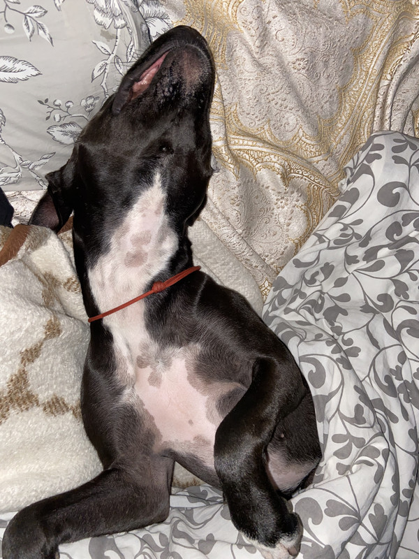 8412EDAF-0D69-4C7D-8F27-A731B109C15B