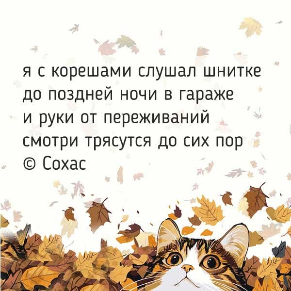 FB IMG 1769075834795