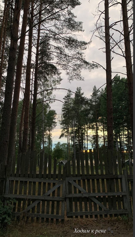 8D577210-B4CB-4331-B6C6-98DBCA7D02AE