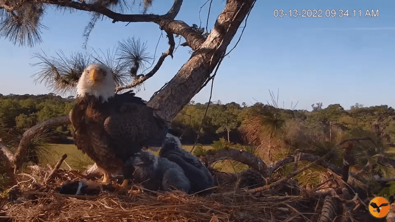 Webp.net-gifmaker (4)