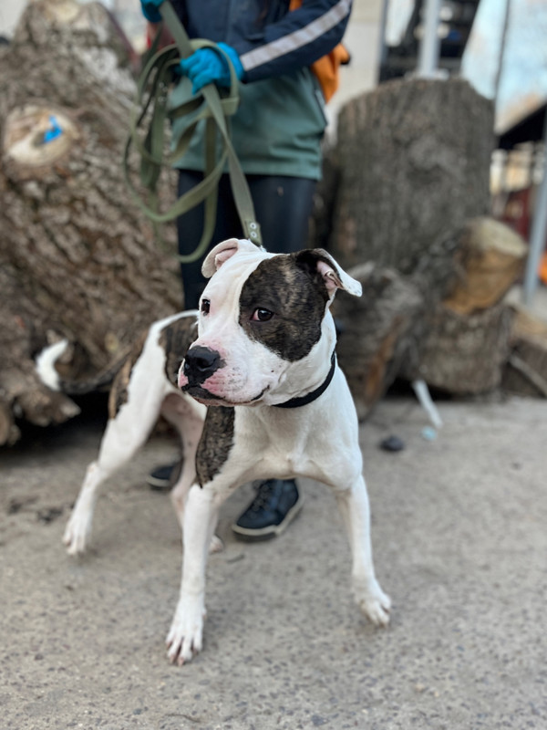 178A4AEB-C12B-4965-877B-9087C9B46821