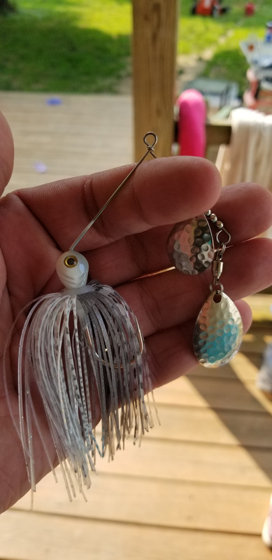 20190604-165058.jpg
