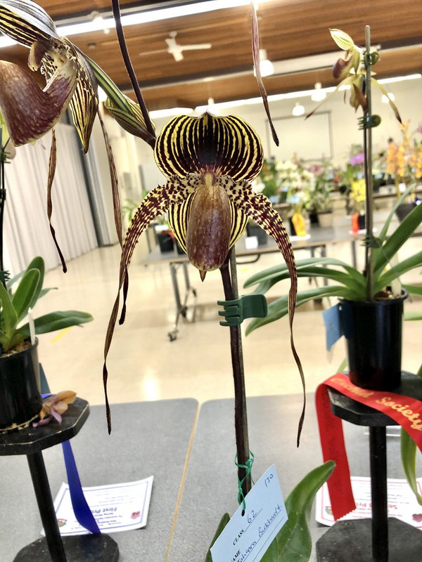 2021 09 JB 'Monster' 2(Edited)