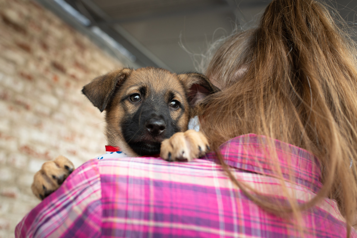 512D02F9-234C-4DA5-A2A5-6A7800050FFC