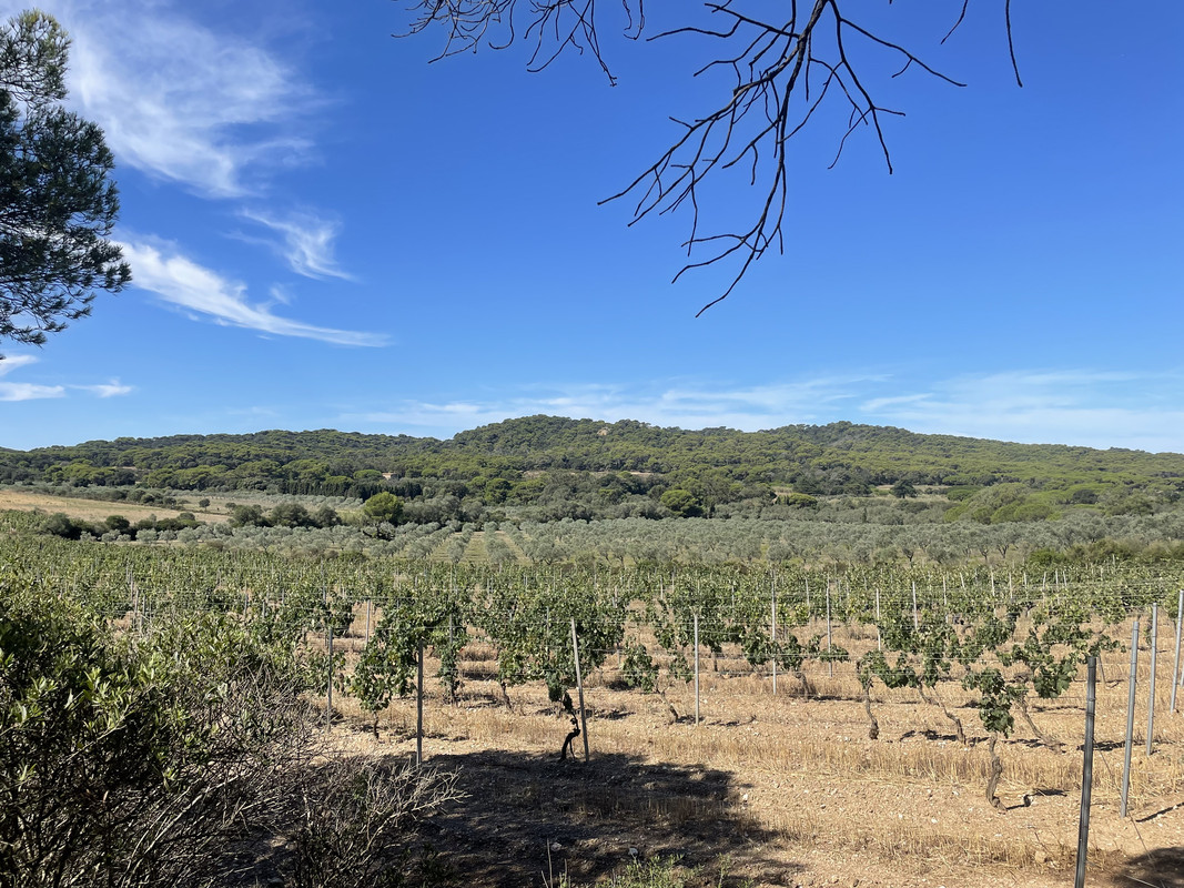 DD5717DD-5244-43DD-8BD7-3BE625AD4F45