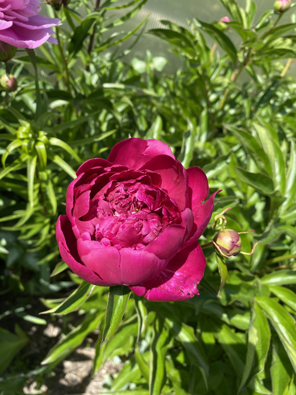 1019B36B-44F4-45F1-9219-20E7EC89BBFA