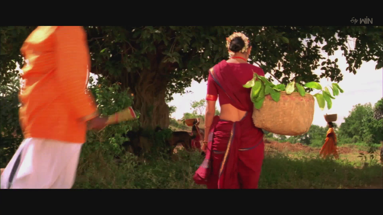 vlcsnap-2025-08-17-09h09m30s821