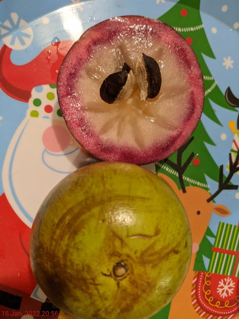 [Image: PXL-20220117-015630836.jpg]