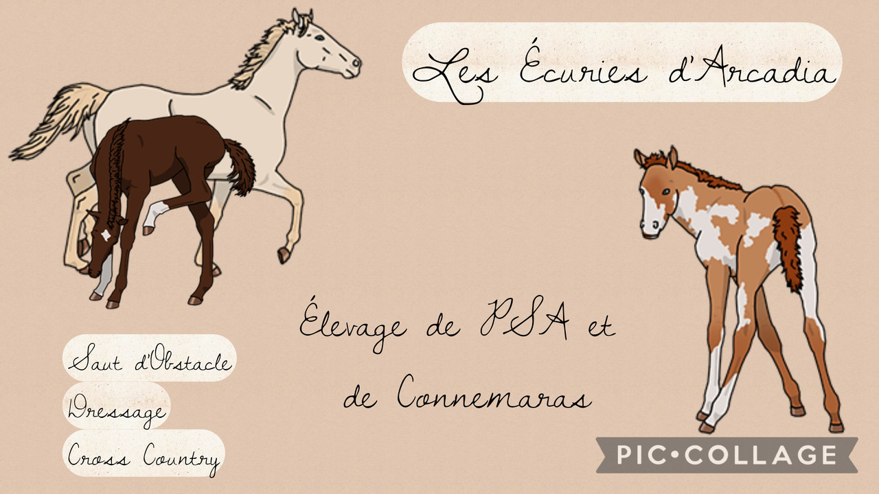 image utilisateur