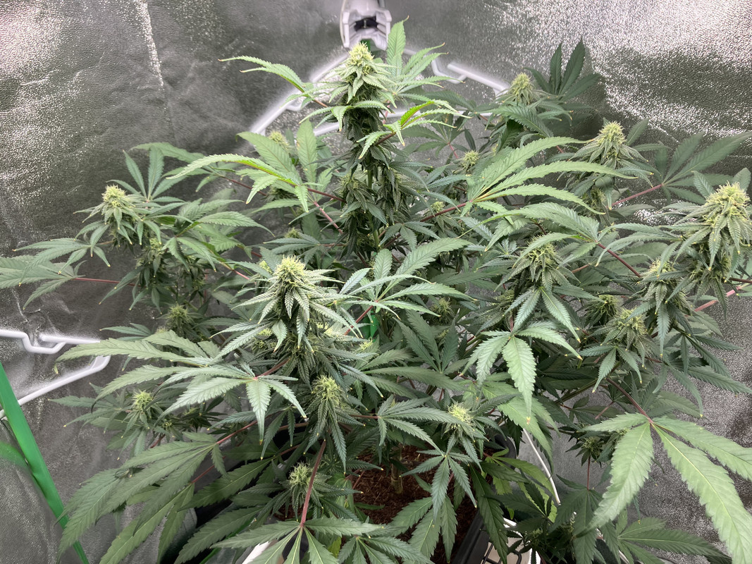 90D74C9F-3F40-4315-8964-ECA5F8561814