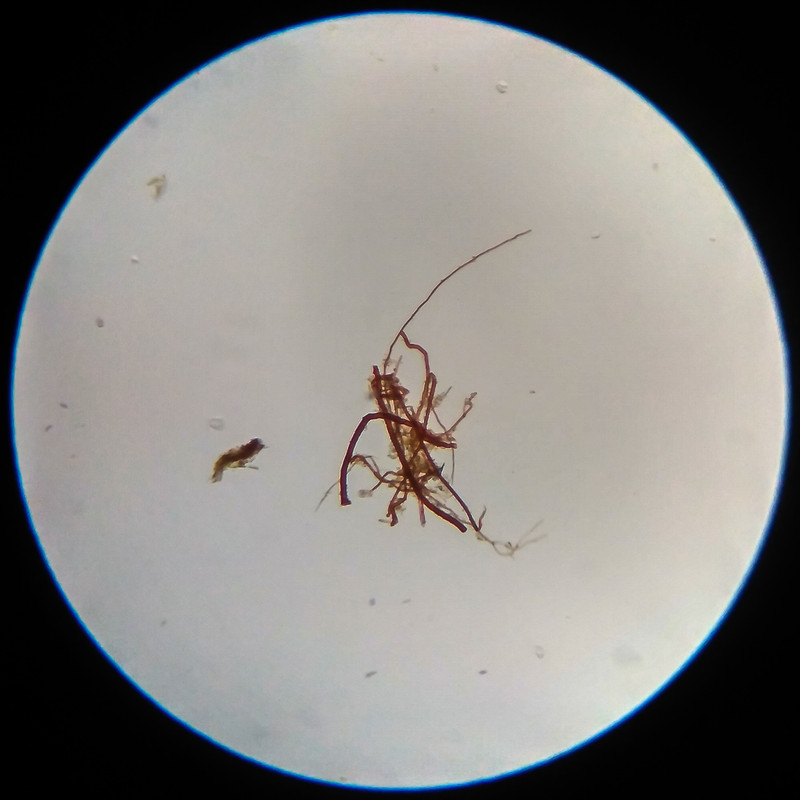 IMG 20250617 114325 HDR