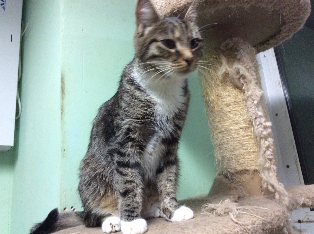 62FB1F3C-67B5-4285-94D0-30AD76CEE764