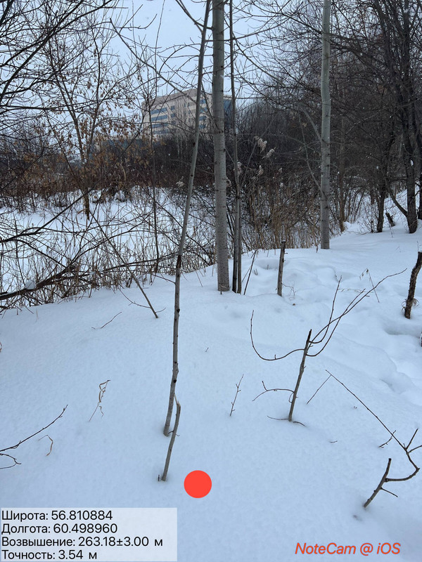 photo 14 2026 01 19 04 05 16