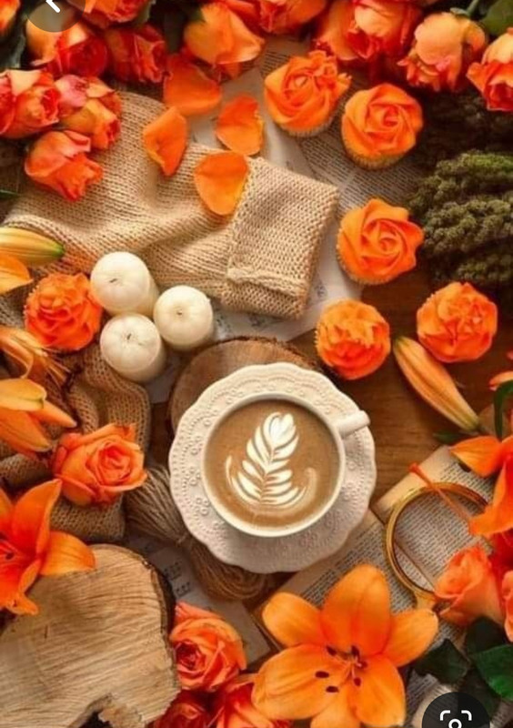 Screenshot_20230705_222612_Pinterest