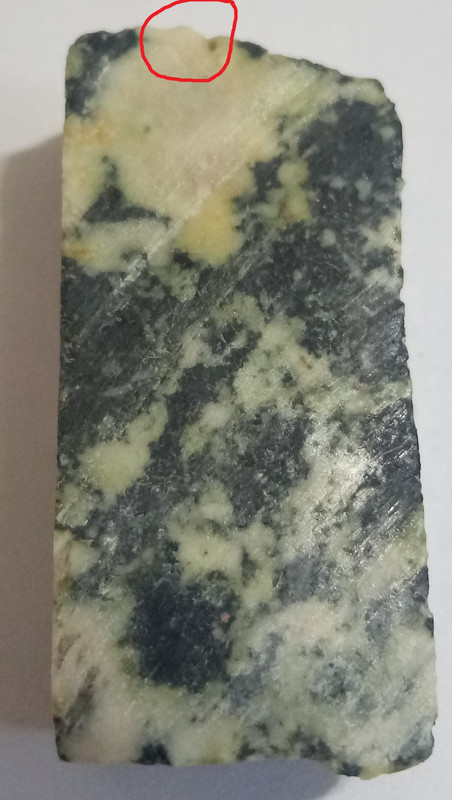 IMG_20241016_113206_5 — копия