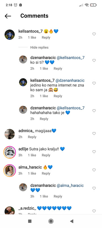 slika