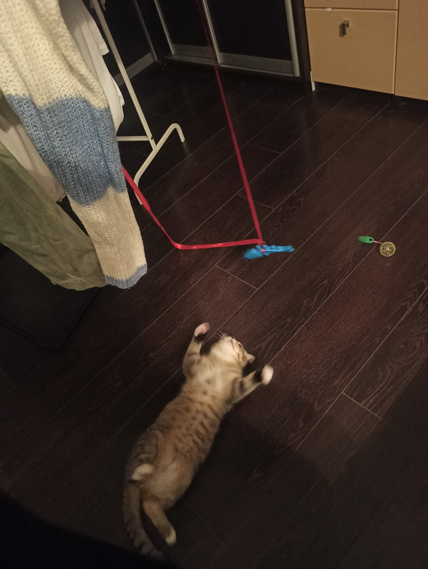 IMG-cf5ac43ce4bb3f253ee8e3c0c83d34ea-V